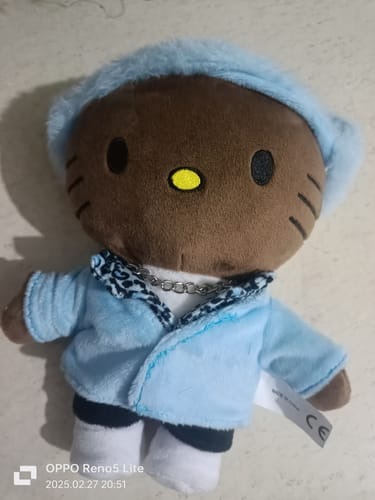 Customer photo review of Hello Kitty Tyler The Creator