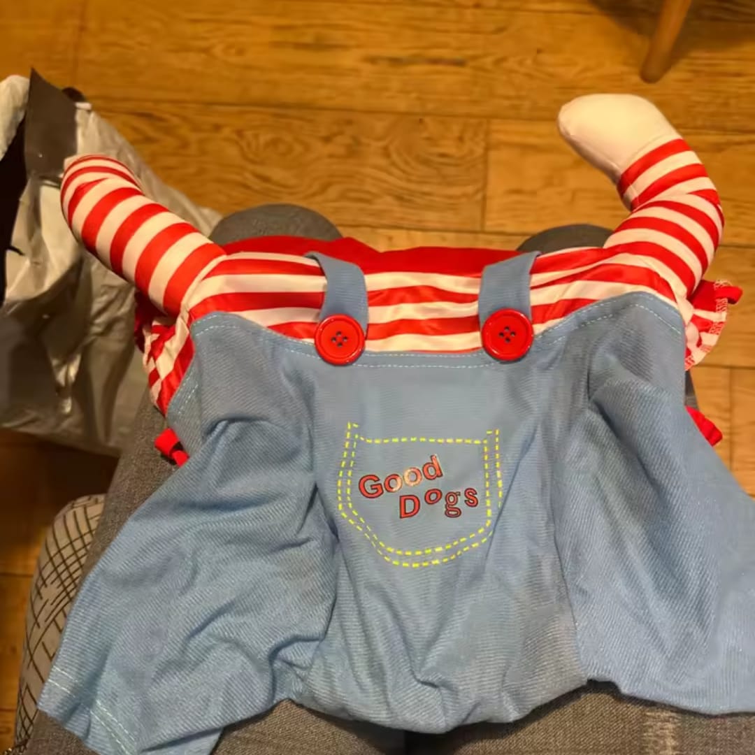 Customer photo review of Disfraz de Halloween para mascotas