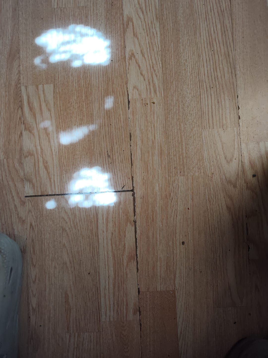 Customer photo review of Shipping Protection