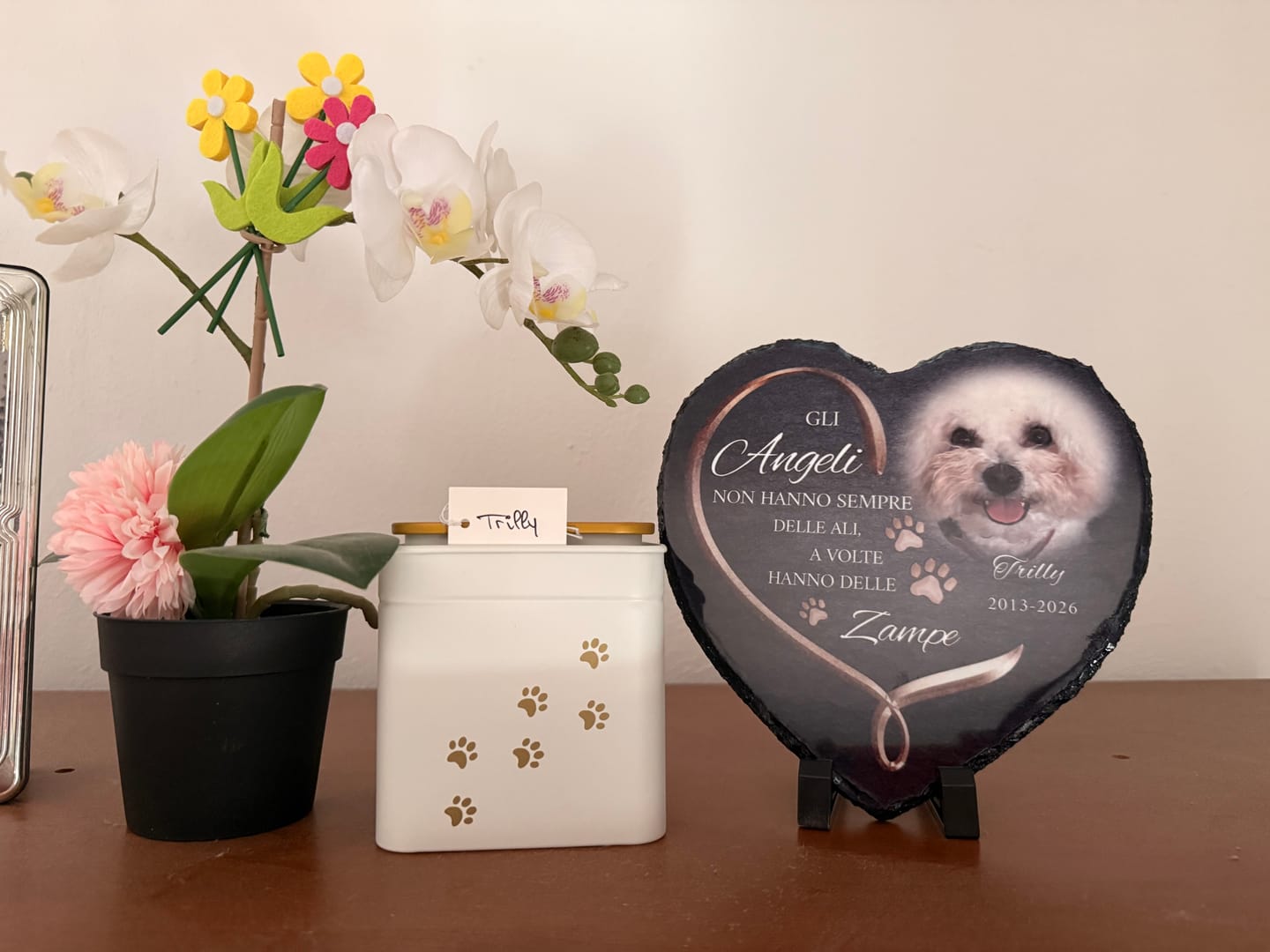 Customer photo review of Gli angeli hanno delle zampe - Cuore in ardesia personalizzato