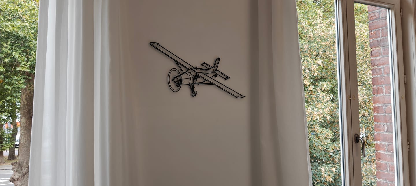 Customer photo review of PC-6 Front Angle Silhouette Metal Wall Art
