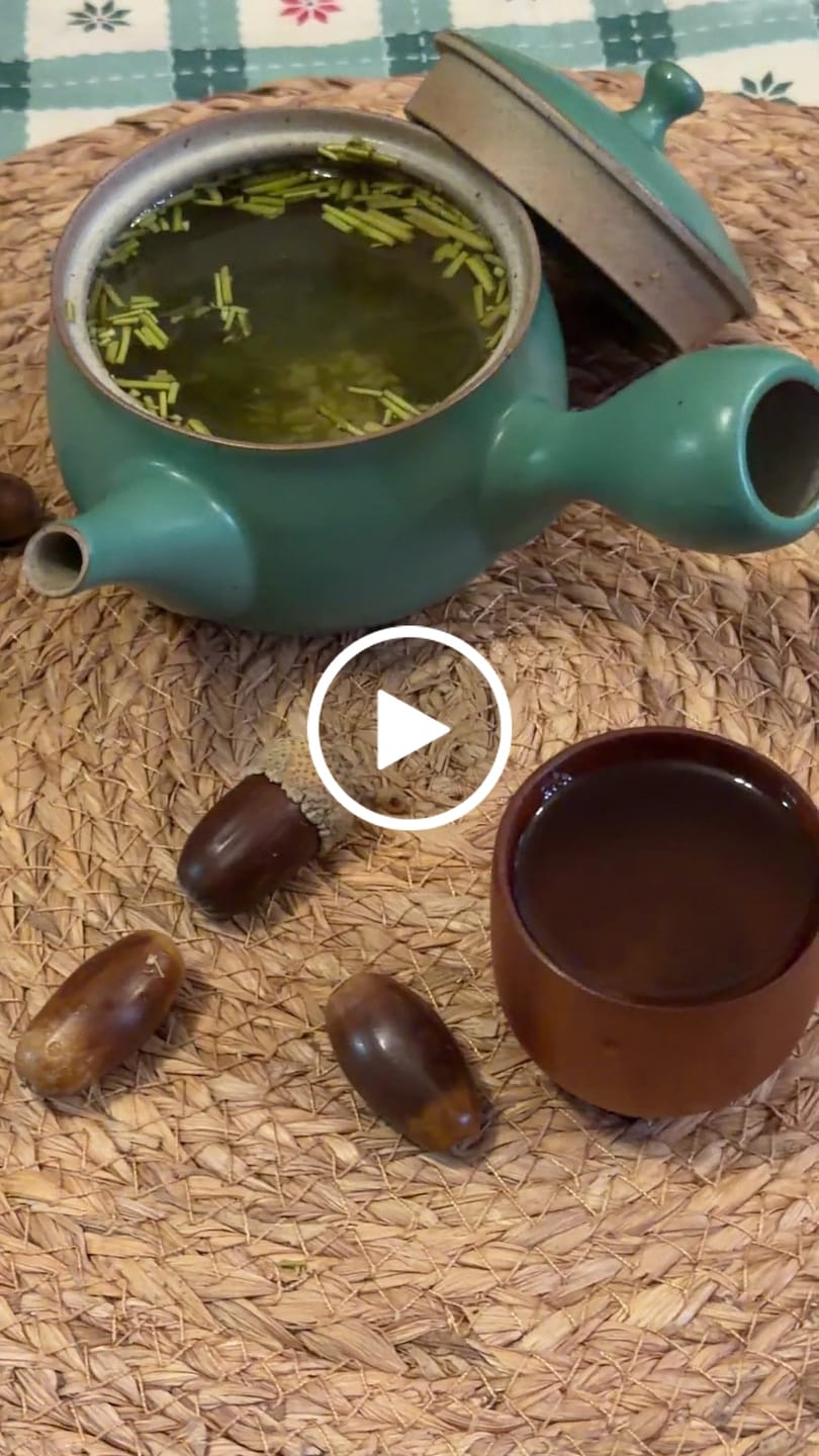 Customer video review of Chanoka Kukicha Green Tea