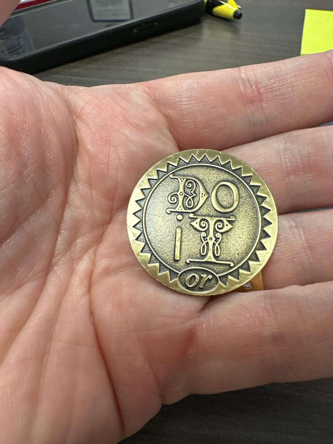 Customer photo review of Do It or Screw It AA/NA Sober Recovery Medallion - Bronze