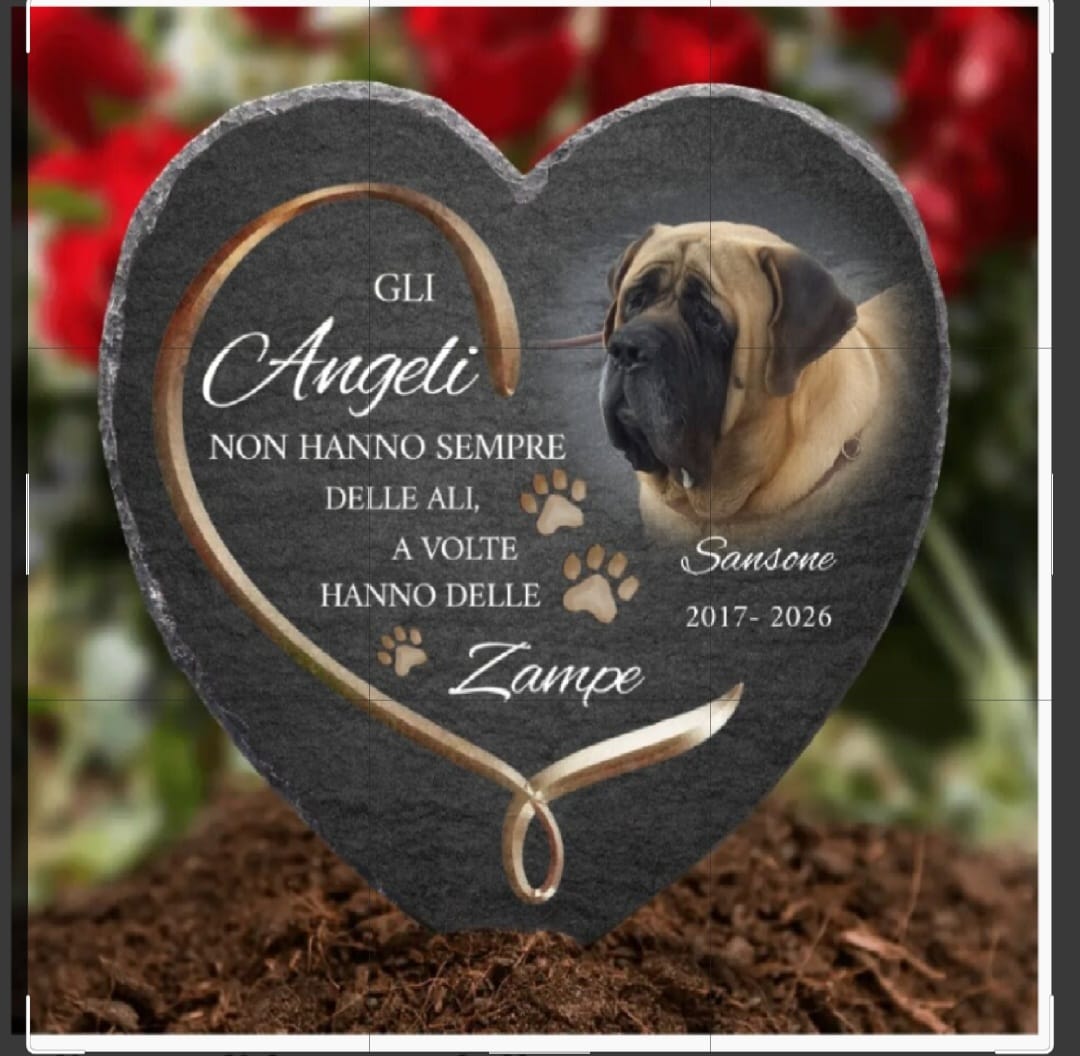 Customer photo review of Gli angeli hanno delle zampe - Cuore in ardesia personalizzato