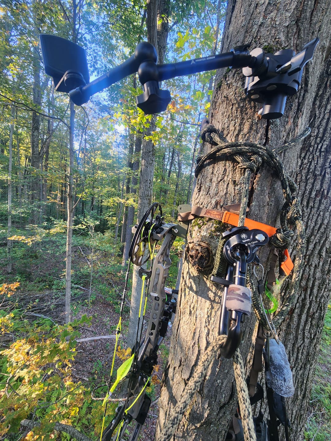 Customer photo review of Tree-Peg Adapter