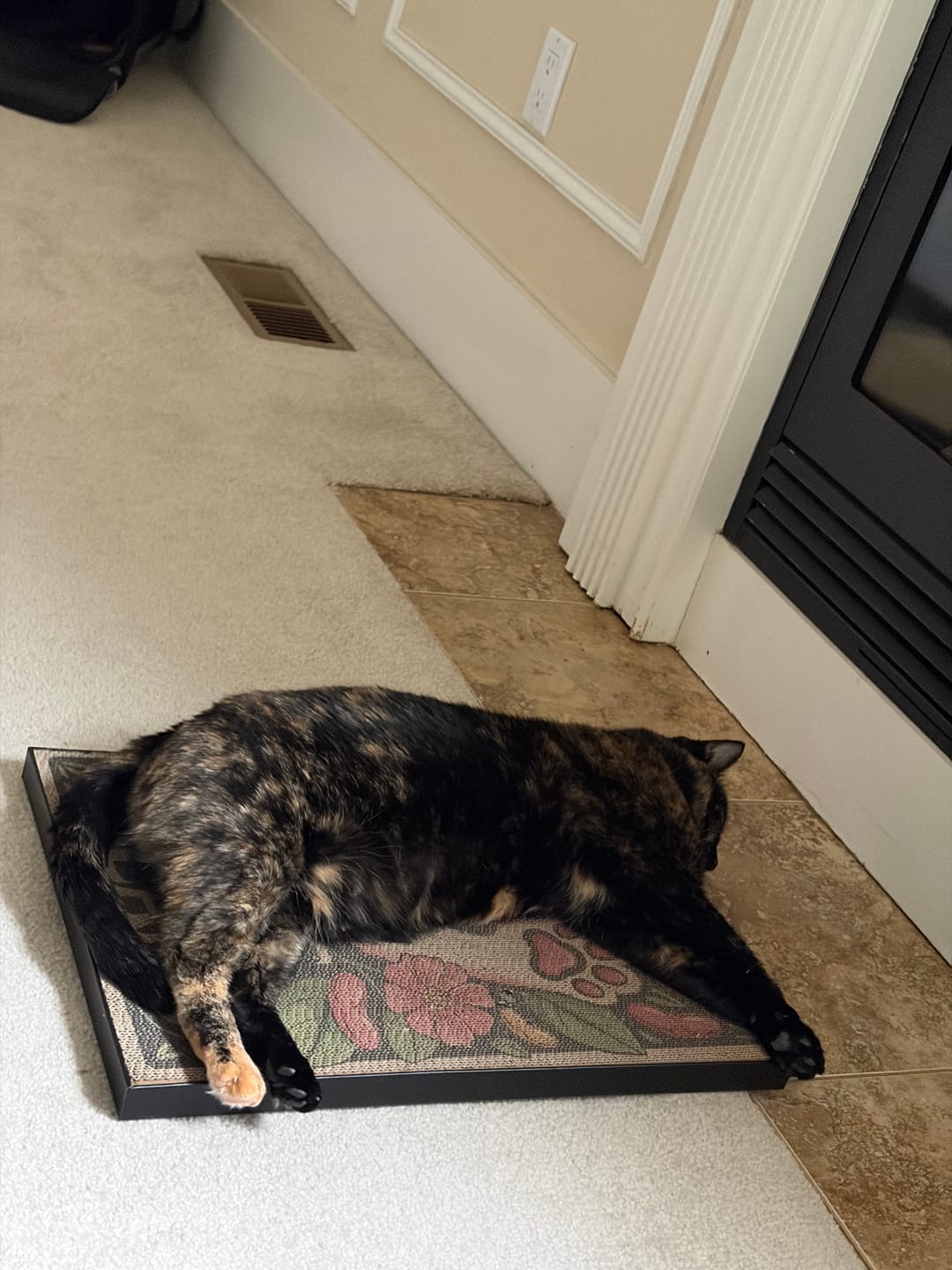 Customer photo review of Toe Beans - Luxury Cat Scratching Board