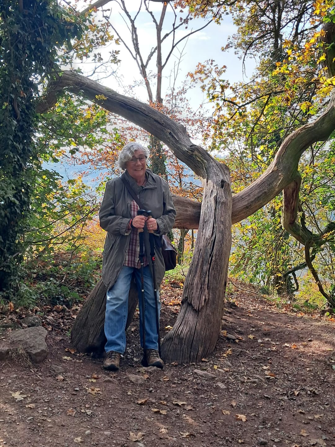 Customer photo review of Wanderstöcke Rugova Pro 3 faltbar & höhenverstellbar – Leicht & stabil
