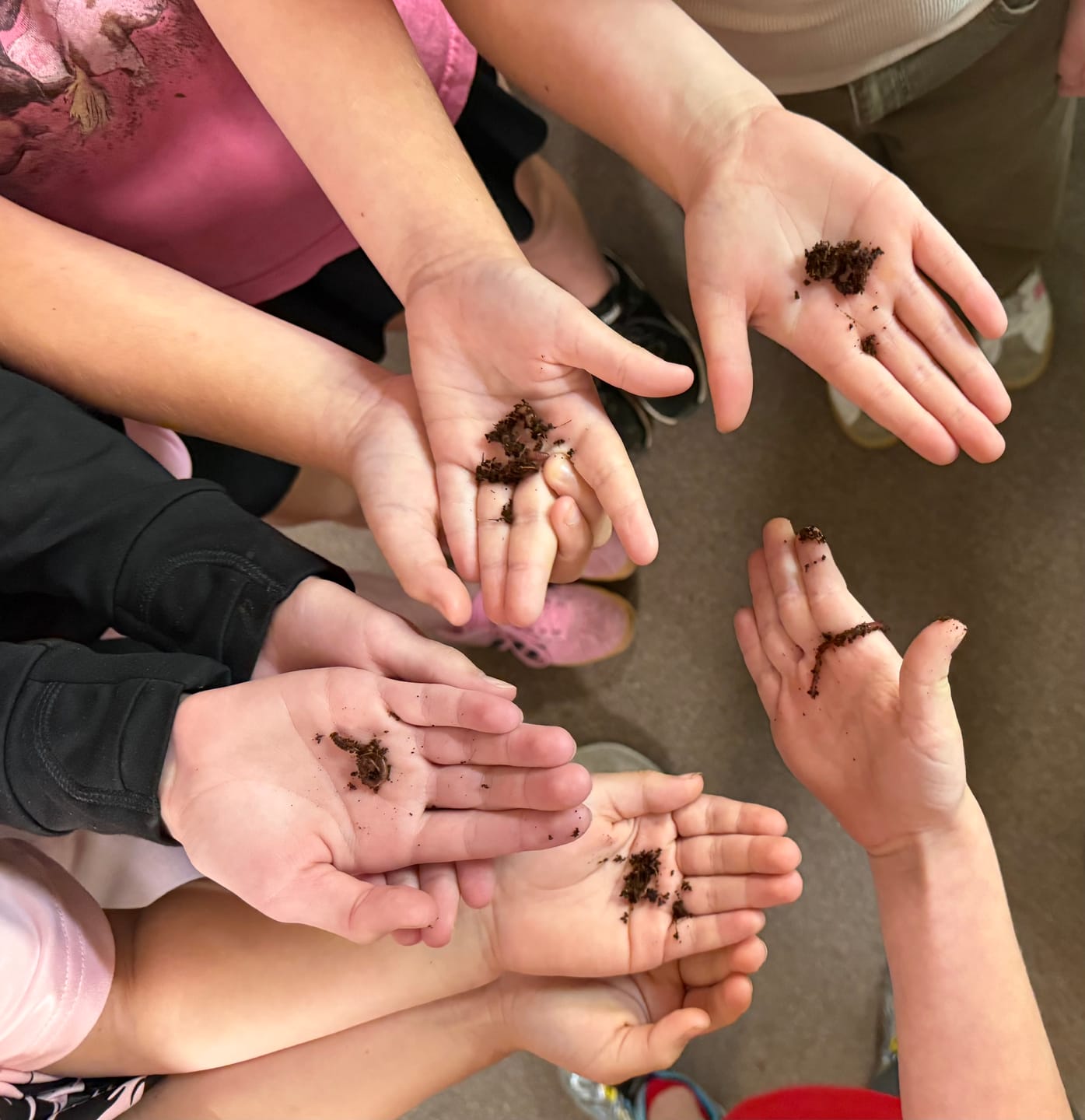 Customer photo review of Red Wigglers Composting Worms