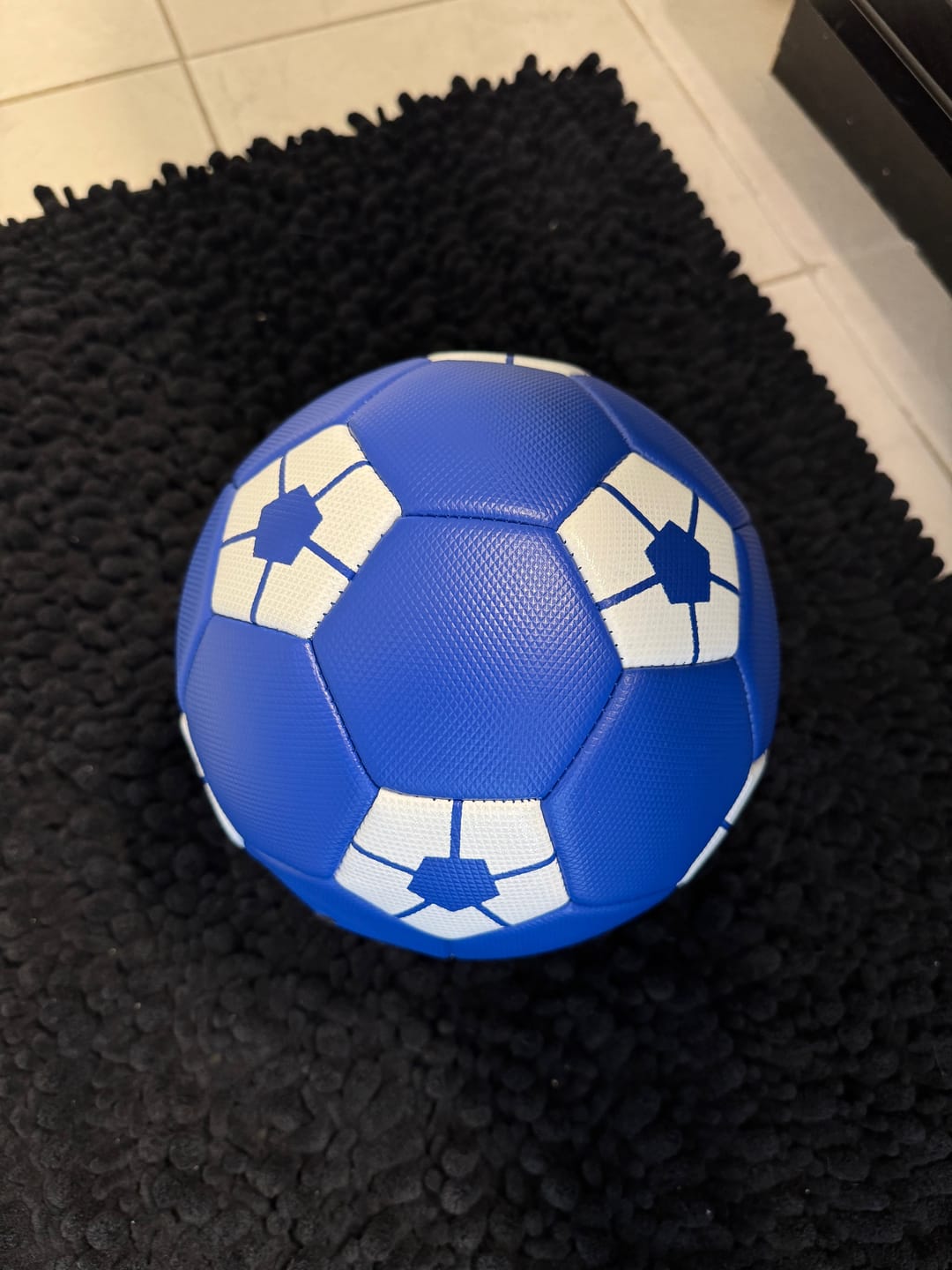 Customer photo review of Blue Lock Ball