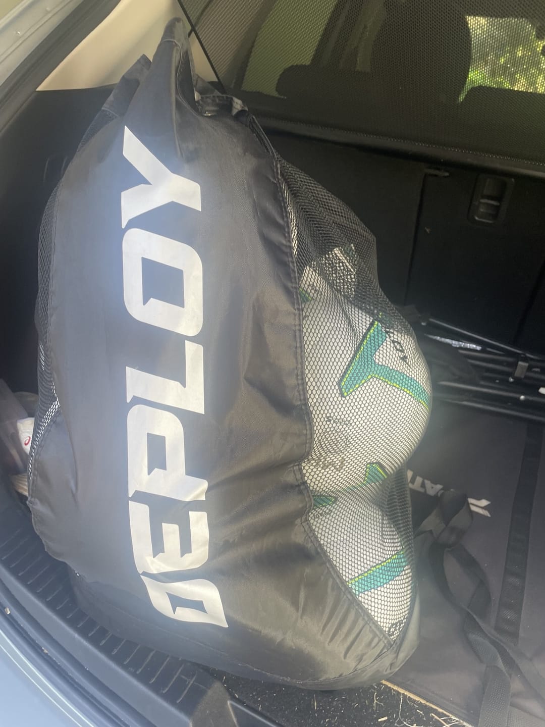 Customer photo review of Deploy Pro Ball Carry Bag