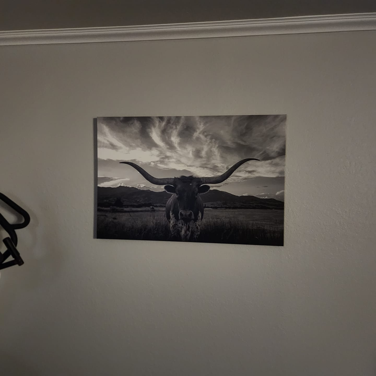 Customer photo review of Texas Longhorn Black & White Canvas Wall Art, Ranch Decor