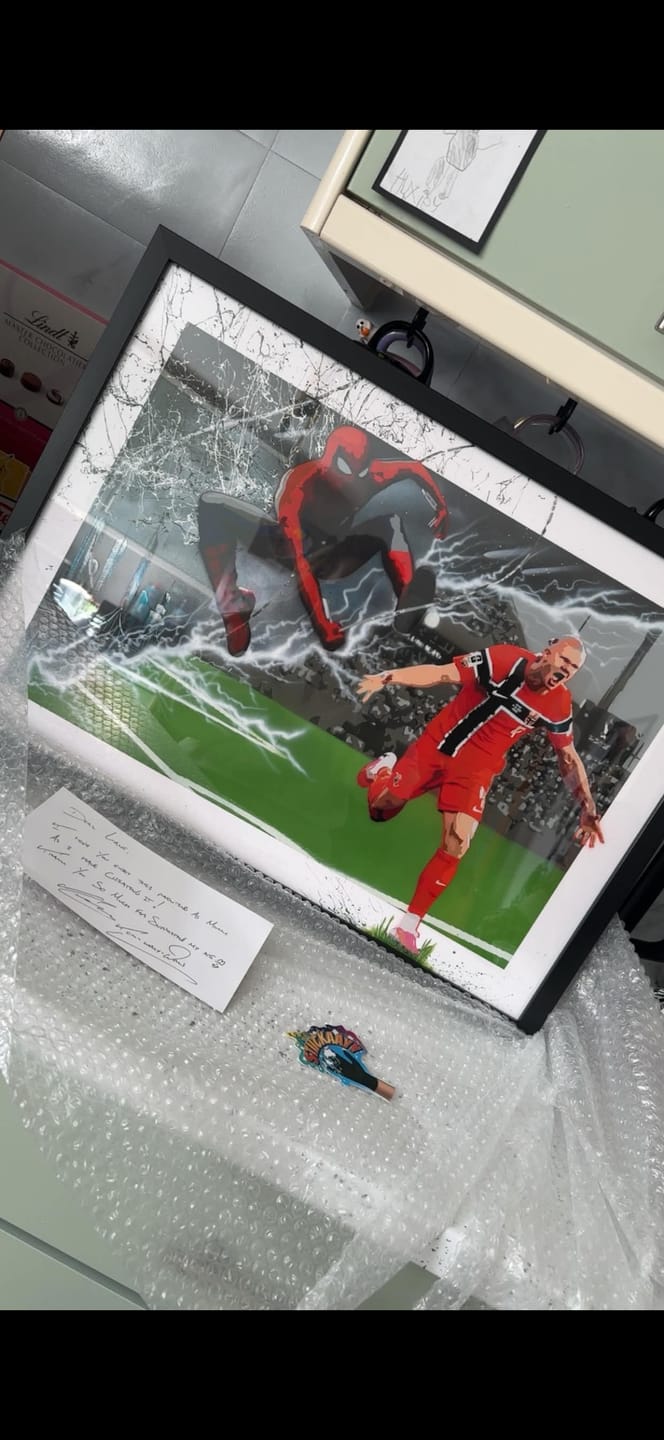 Customer photo review of Bespoke Painting For Lane - Spiderman and Haarland - A2