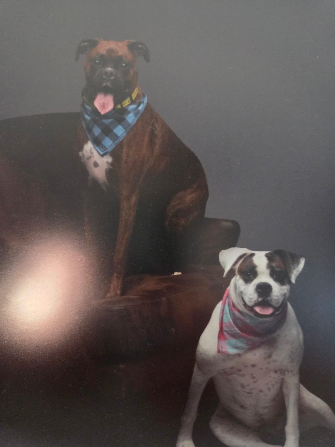 Customer photo review of Happy Pills Boxer Shirt