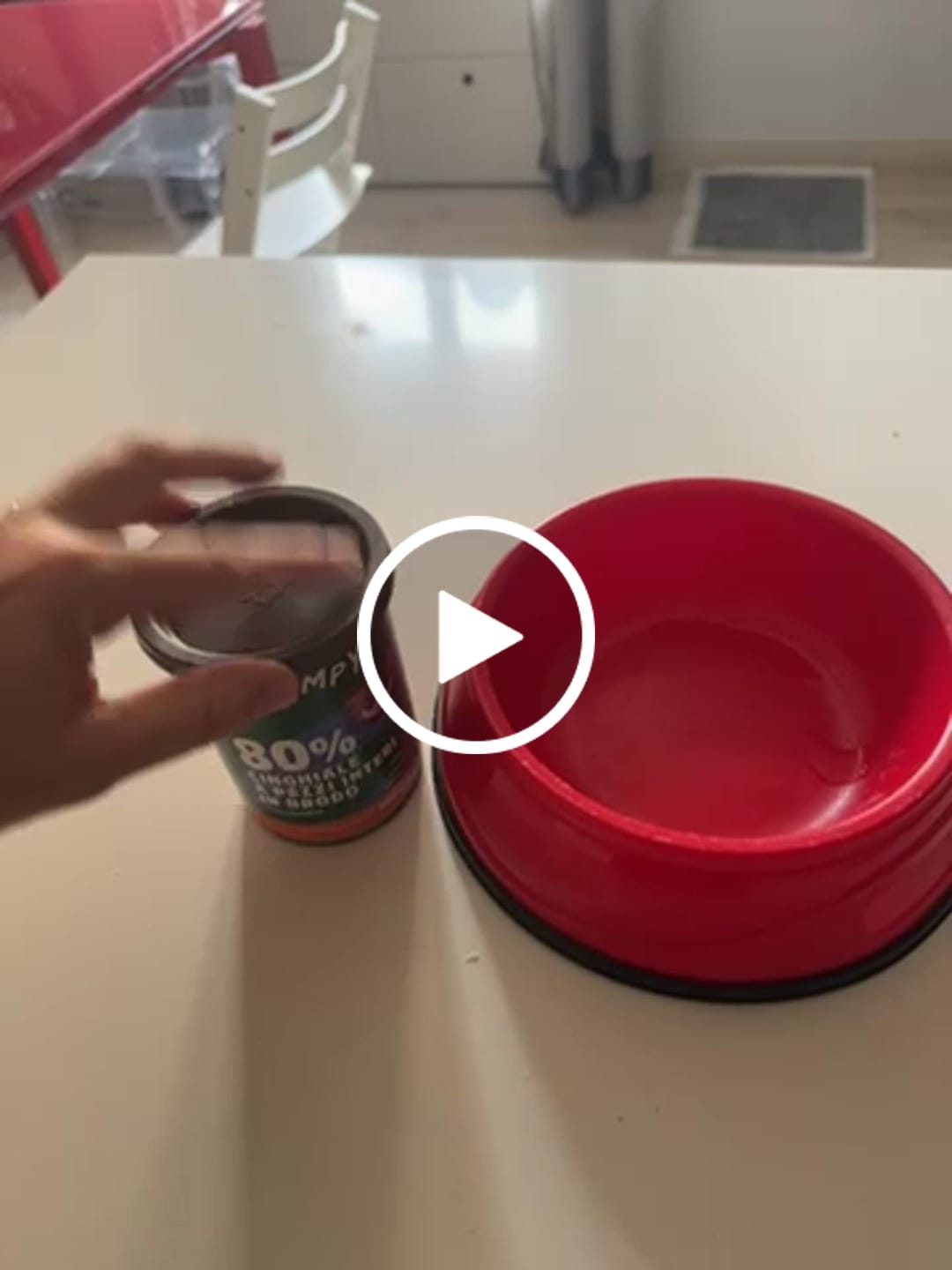 Customer video review of My Name is Cinghiale