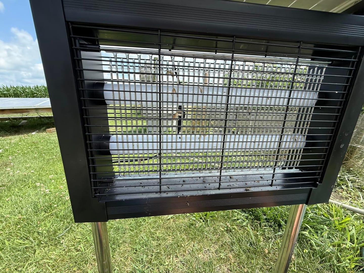 Customer photo review of GroundGuard Sentinel — Solar Bug Zapper