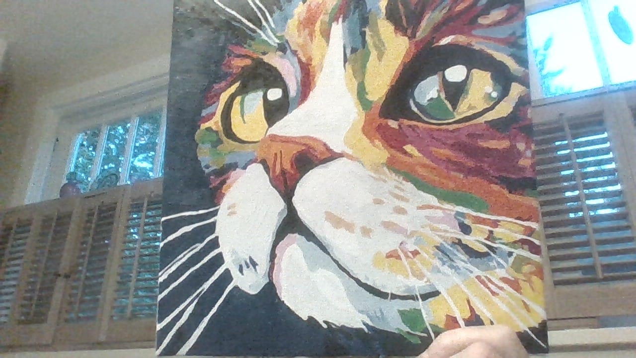 Customer photo review of Mini Paint by Number with Frame - Colorful Cat