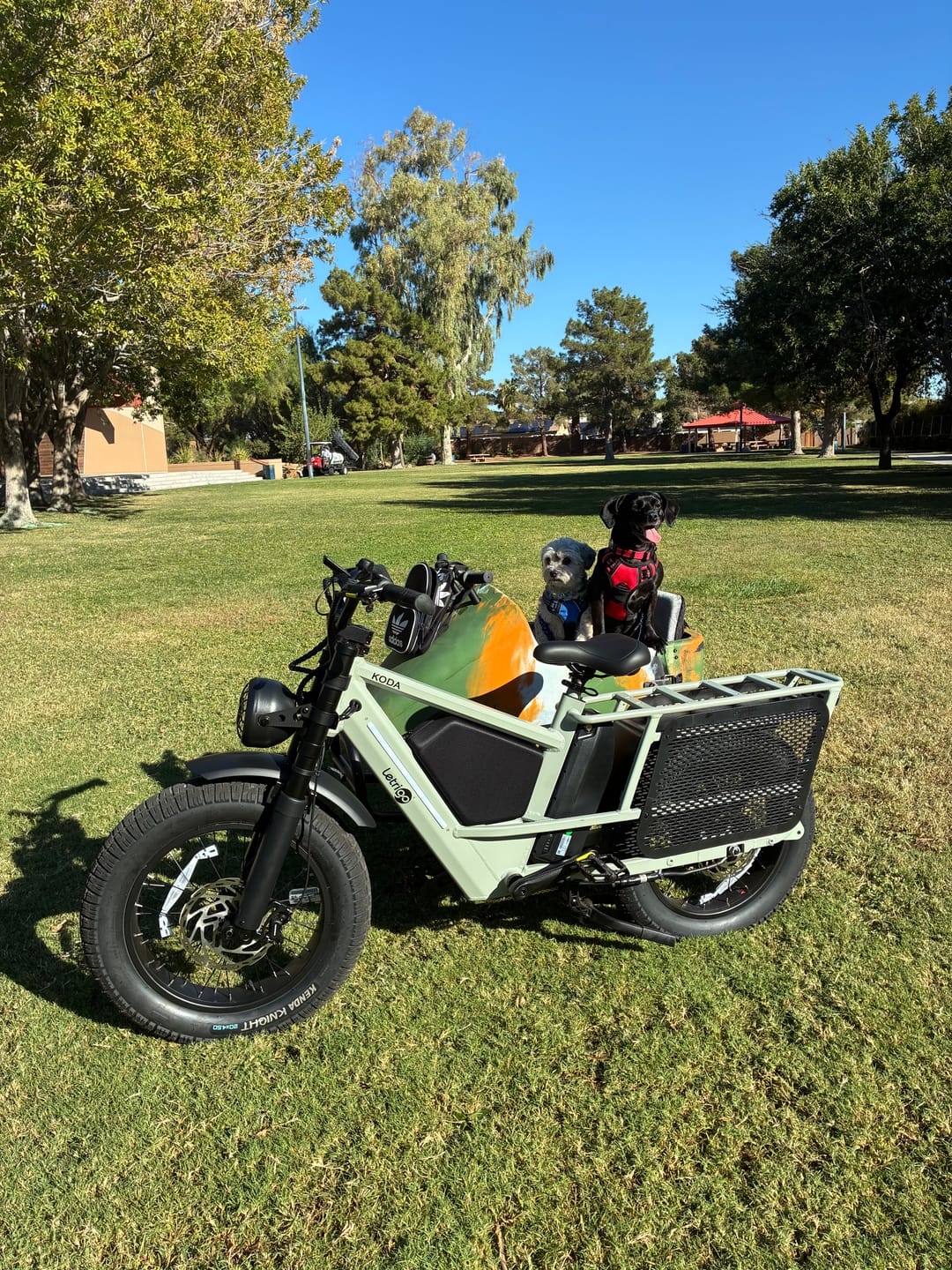 Customer photo review of KODA