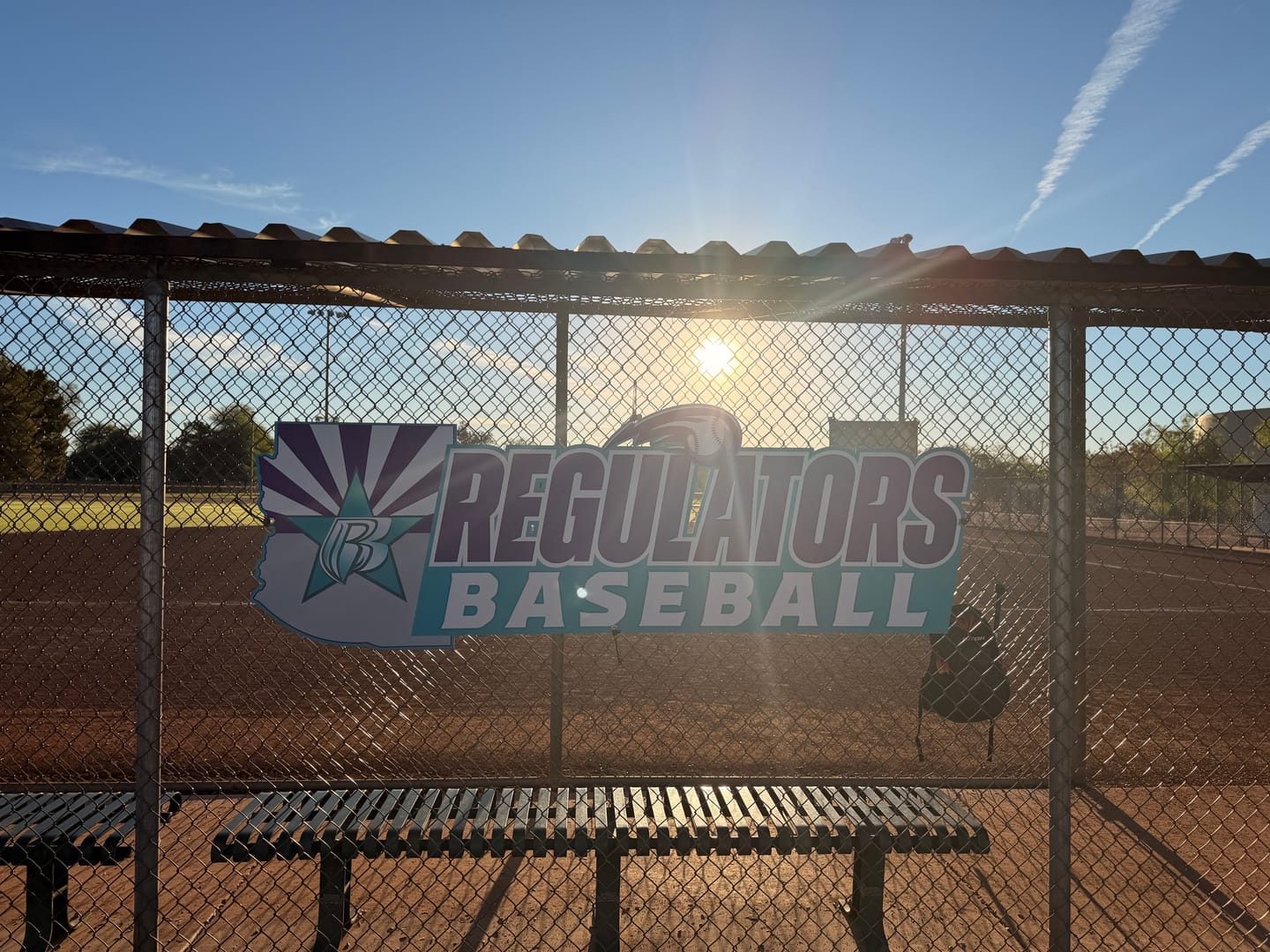 Customer photo review of Dugout Signs