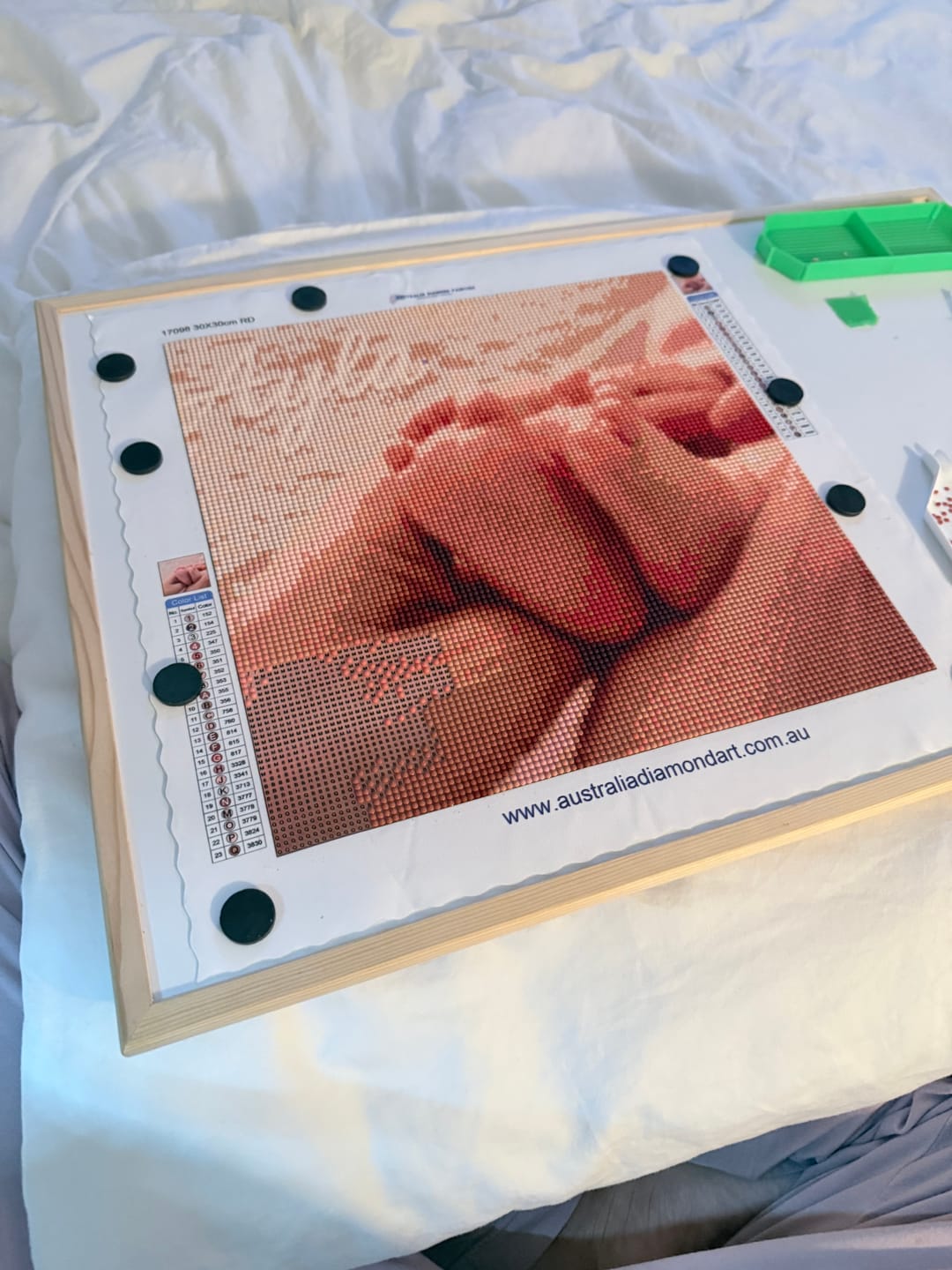 Customer photo review of Custom Diamond Painting