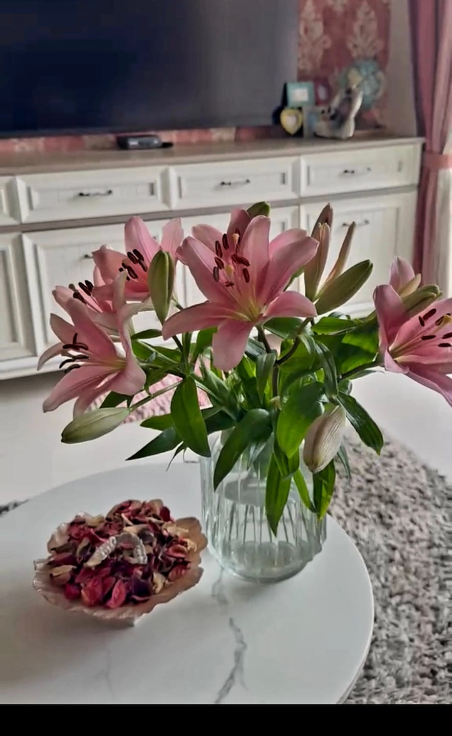 Customer photo review of Asiatic Lily