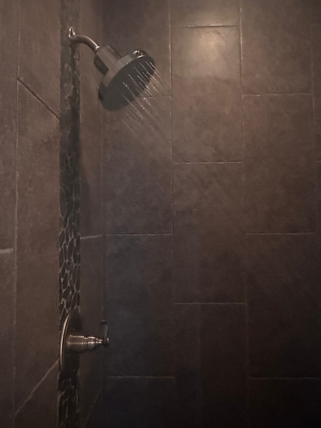 Customer photo review of Ultimate Showerhead