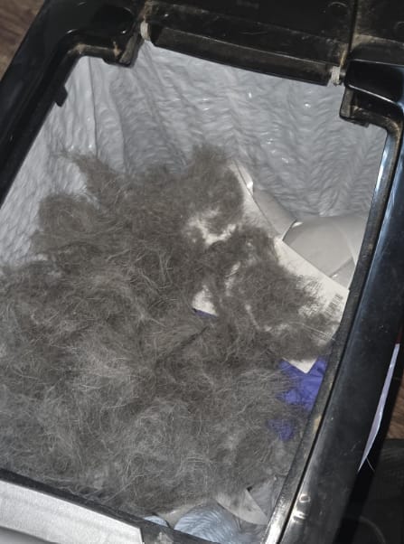 Customer photo review of Guante adiós pelos