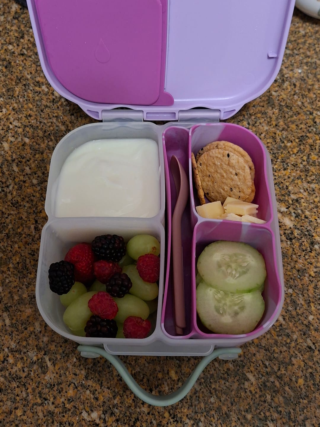Customer photo review of Snack Bento Buddy para Snackbox b.box