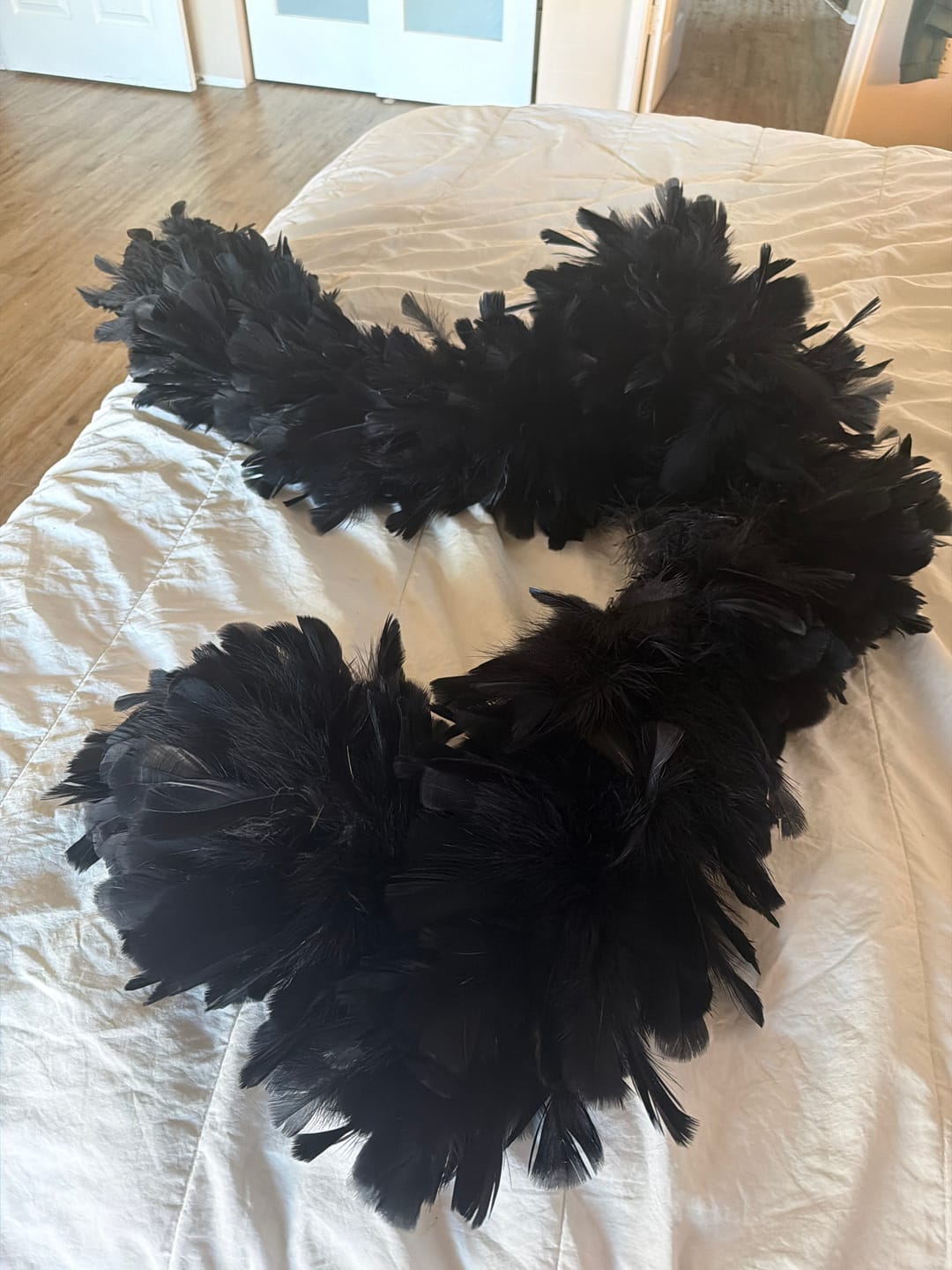 Customer photo review of Turkey Ruff Boa