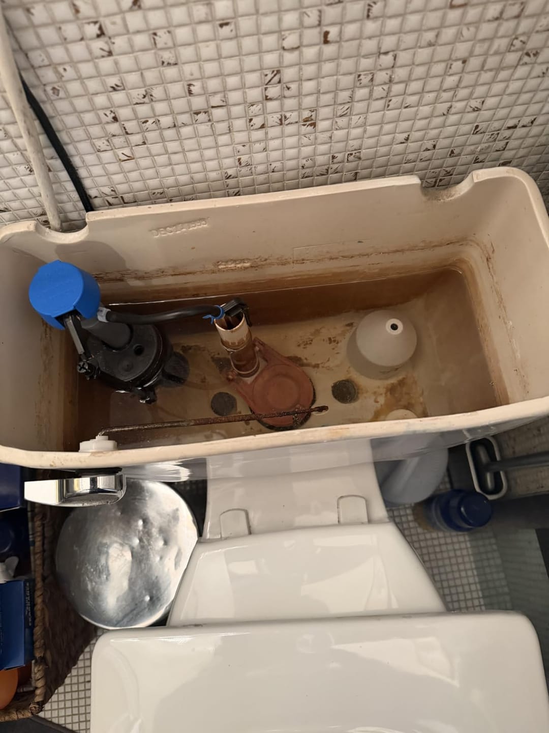 Customer photo review of KlazyClean™Pro