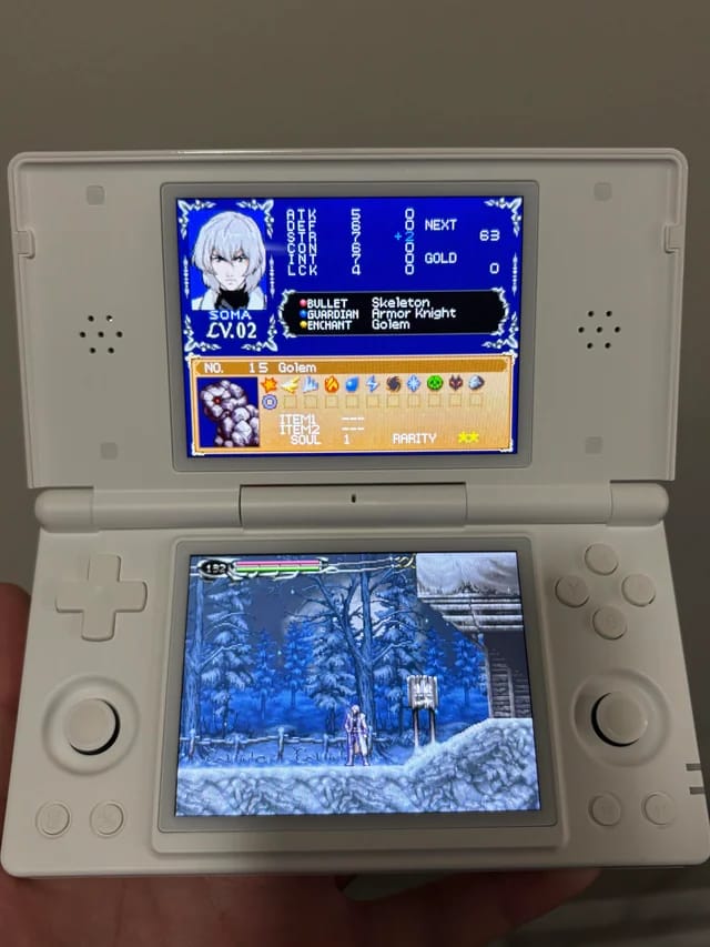 Customer photo review of Retrobit™ RG DS