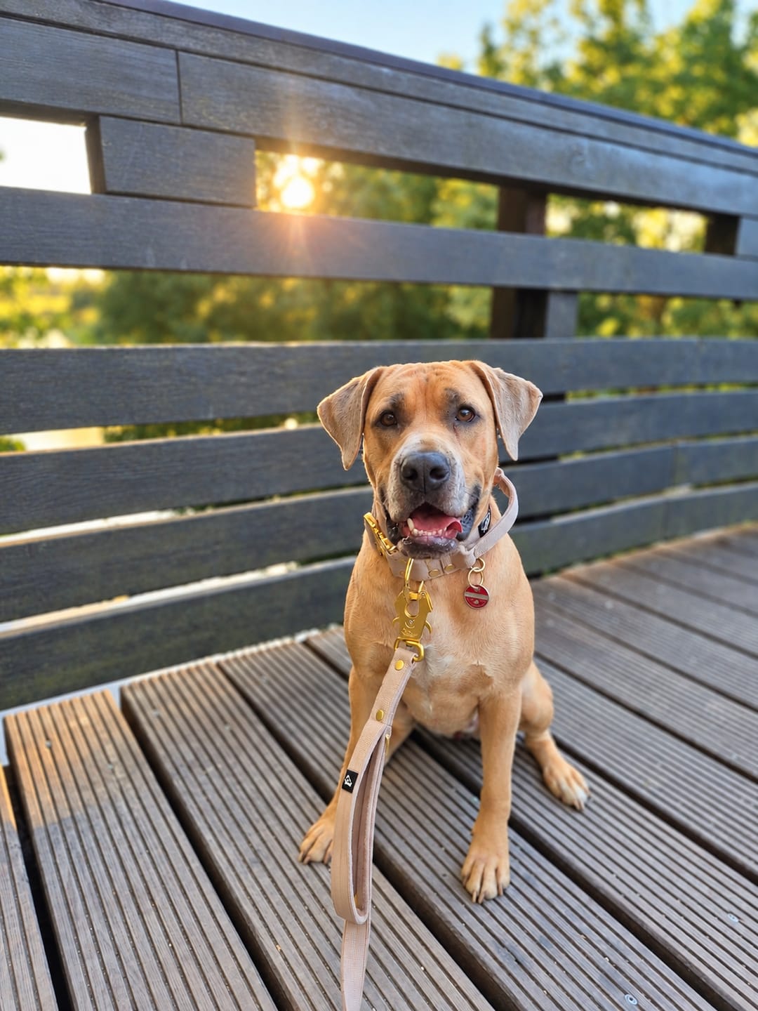 Customer photo review of Multi Guard Leash Golden Beige - Multi-väktarkoppel