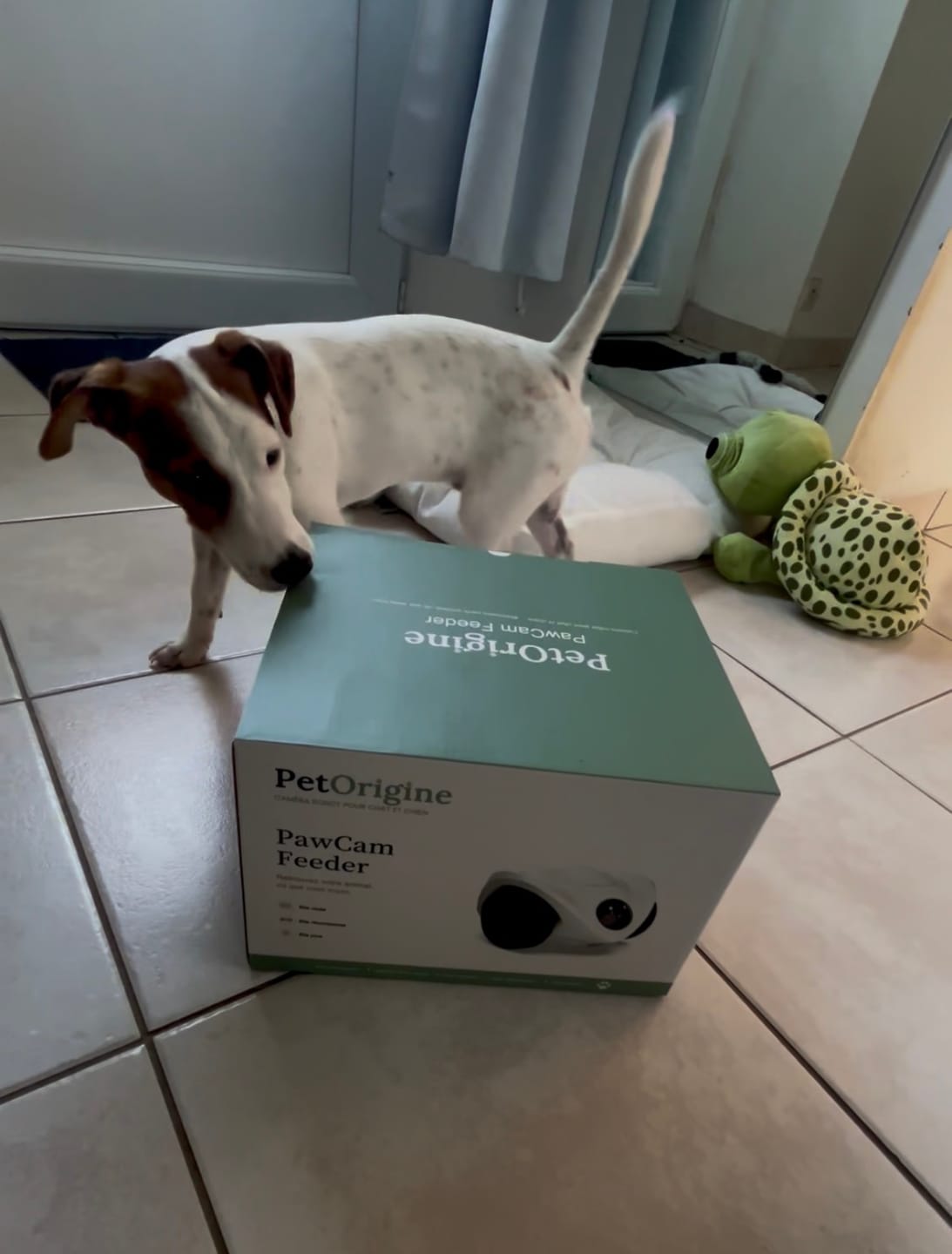 Customer photo review of PawCam Feeder – Caméra robot pour chat et chien, distributeur de friandises et laser, sans abonnement