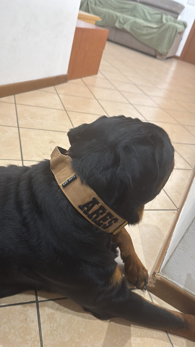 Customer photo review of Collare Crime 5cm