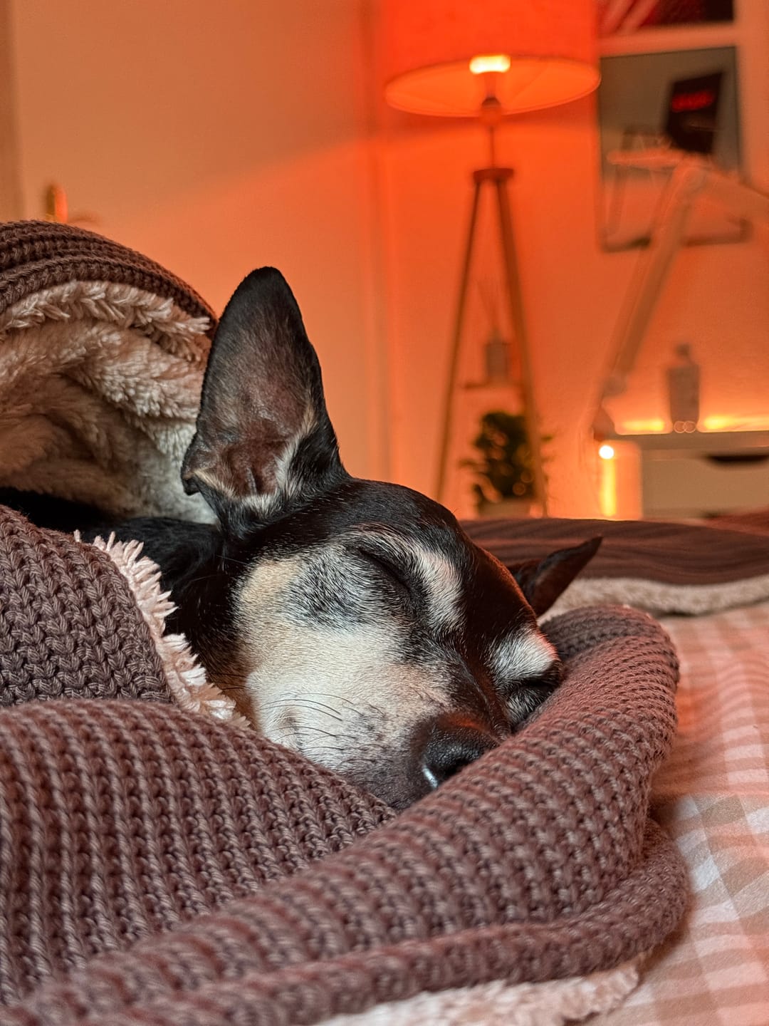 Customer photo review of Kuscheldecke mit Baumwollstrick · Kakao