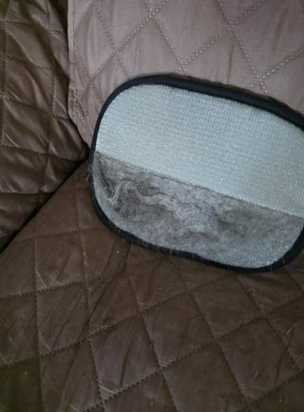 Customer photo review of Guante adiós pelos