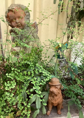 Customer's Colonel Barkley dog bust in a garden setting surrounded by green foliage near a terracotta statue.