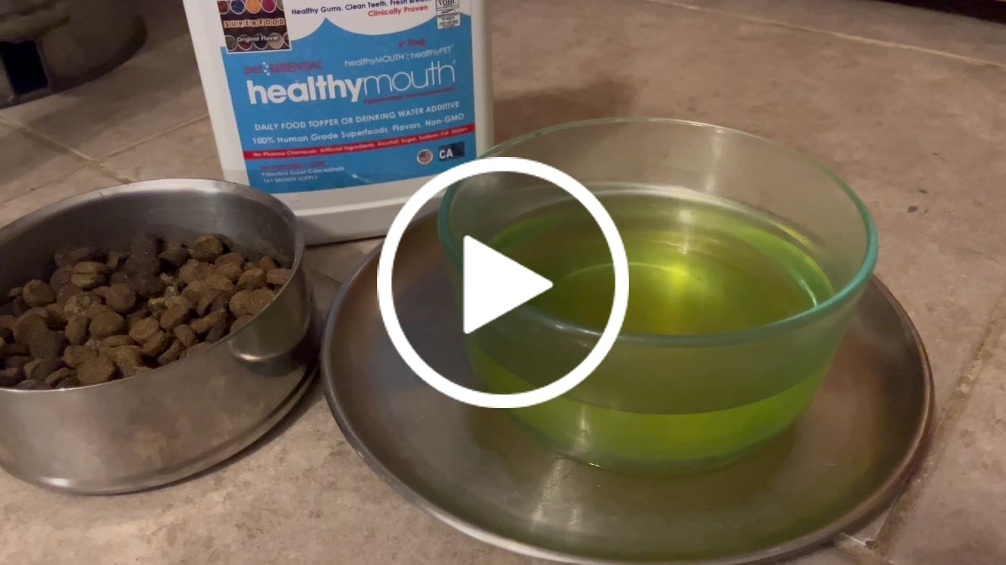 Customer video review of HealthyMouth® Water Additive For Dogs (Clinically Proven, VOHC Accepted)
