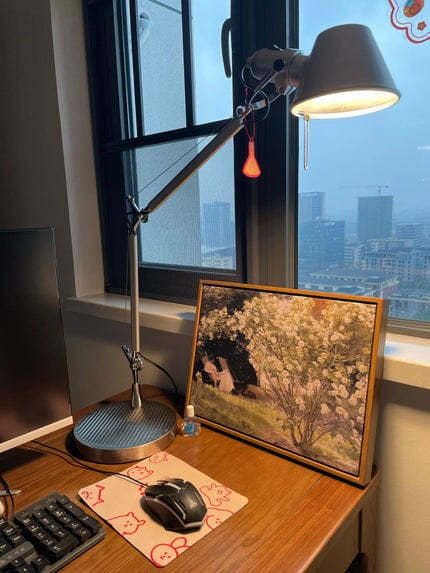 Customer photo review of Table Lamp, Chrome Articulated Arm, All-Metal, Desk Lamp