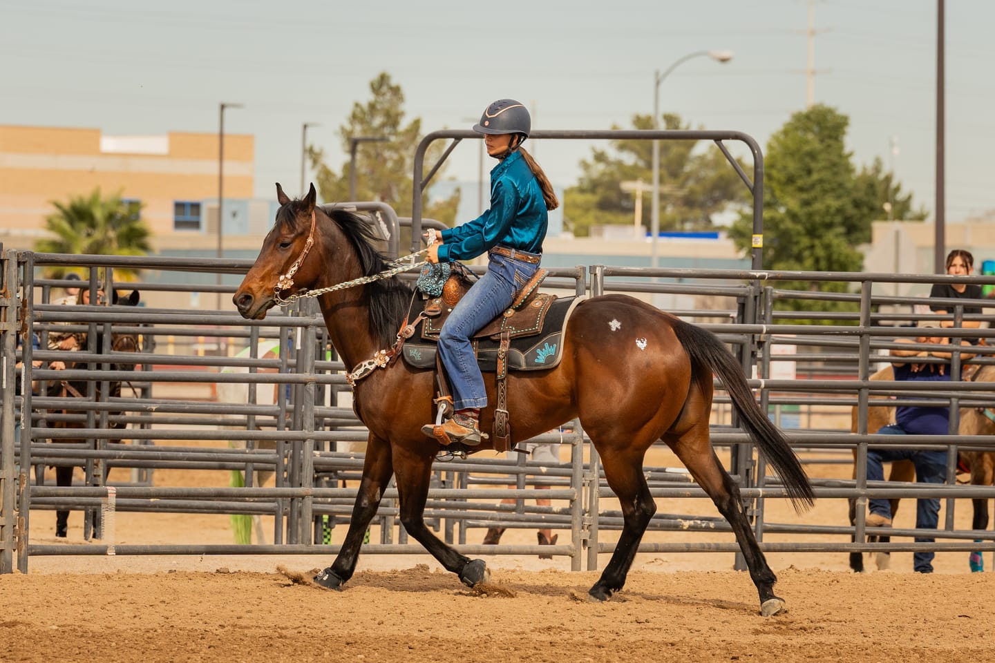 Customer photo review of Buckstitch Headstall Style 6