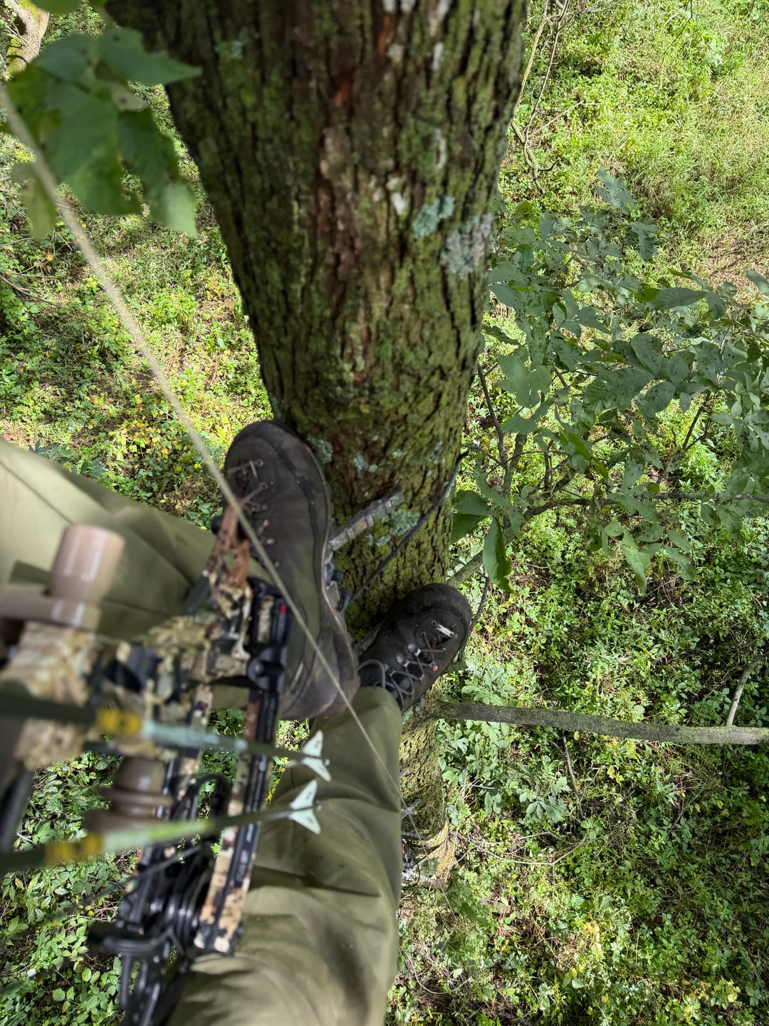 Customer photo review of ALPHA 3 STEP STICKS
