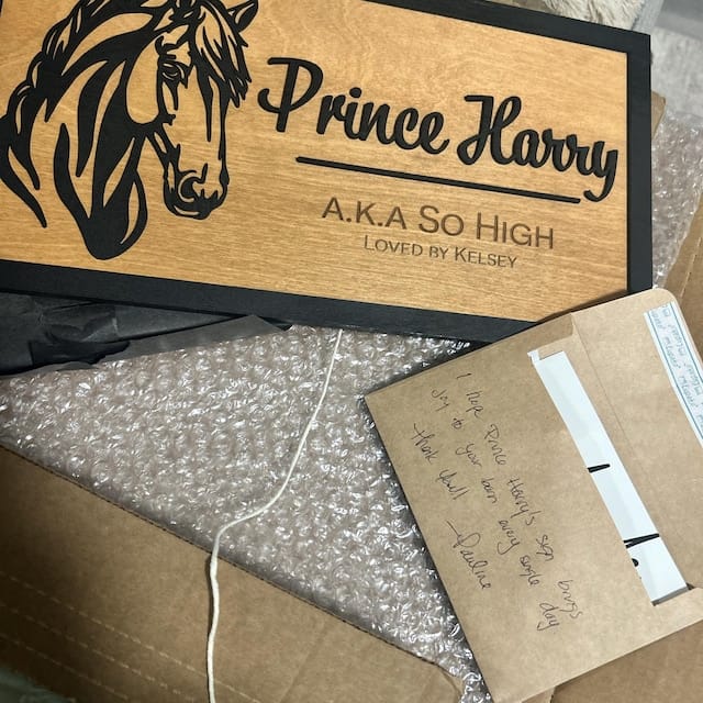 Customer photo review of The Cameo — Personalized Horse Stall Sign with Layered Silhouette