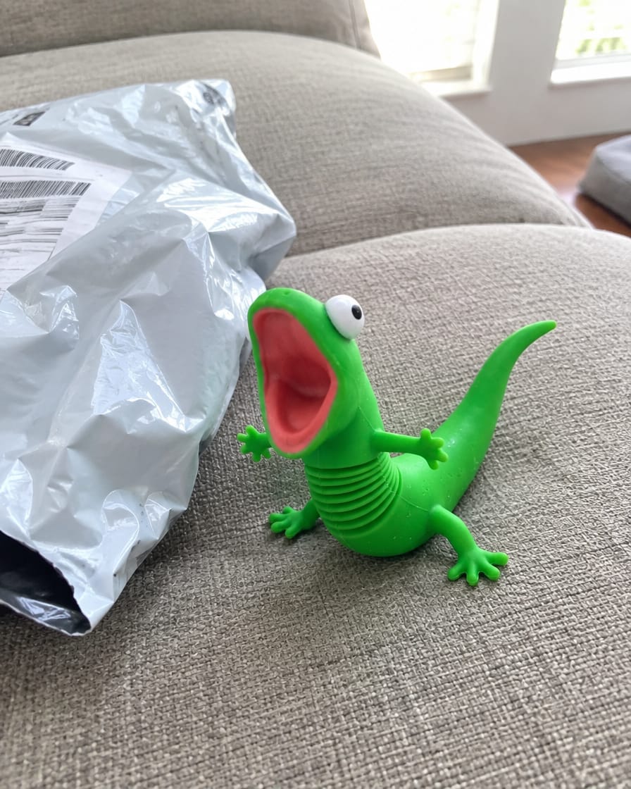 Customer photo review of RevGecko™ Riding Buddy
