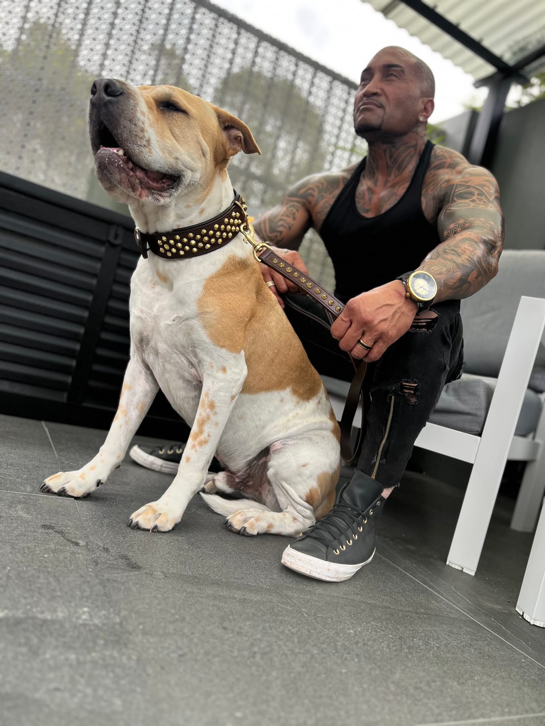 Customer photo review of Hand Made Leather Dog Collar - Ruthless Brown & Brass (Wide Fit)
