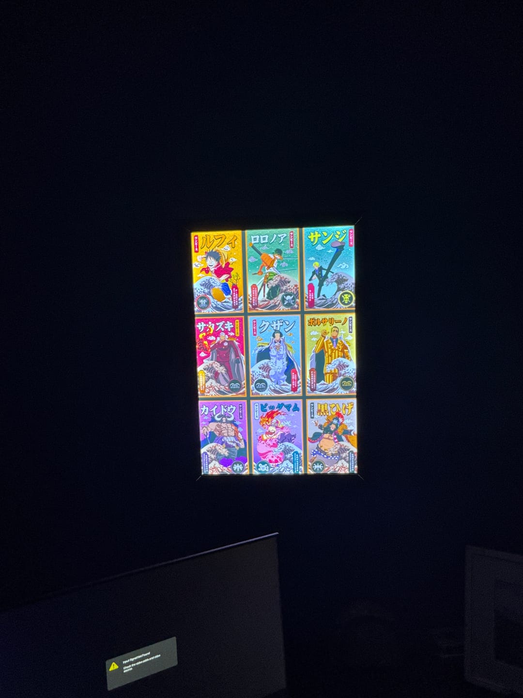 Customer photo review of Lightbox Frame (16x24 in)