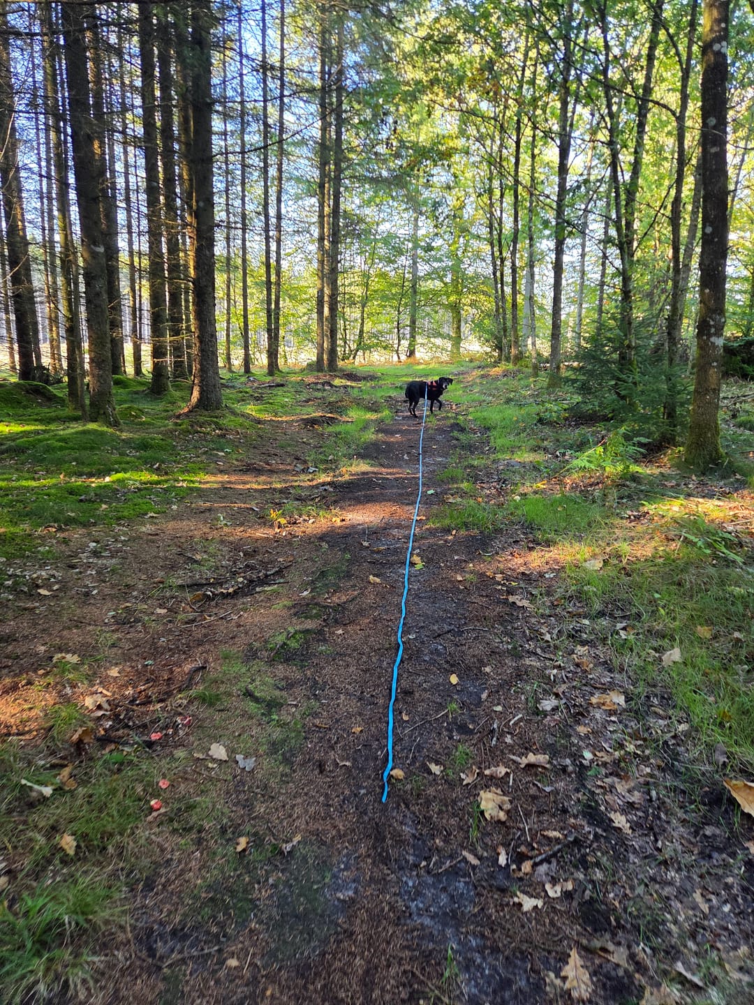 Customer photo review of Coachi Waterproof Træningsline, 10m