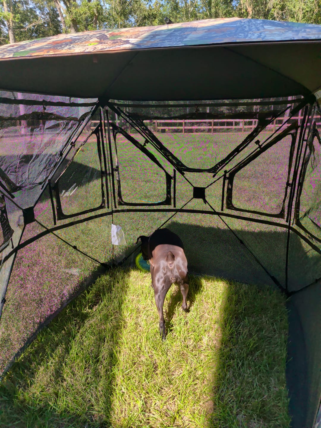 Customer photo review of FLASH SALE Vis360 See Through Silent 4 Full Panels Deer Hunting Blind