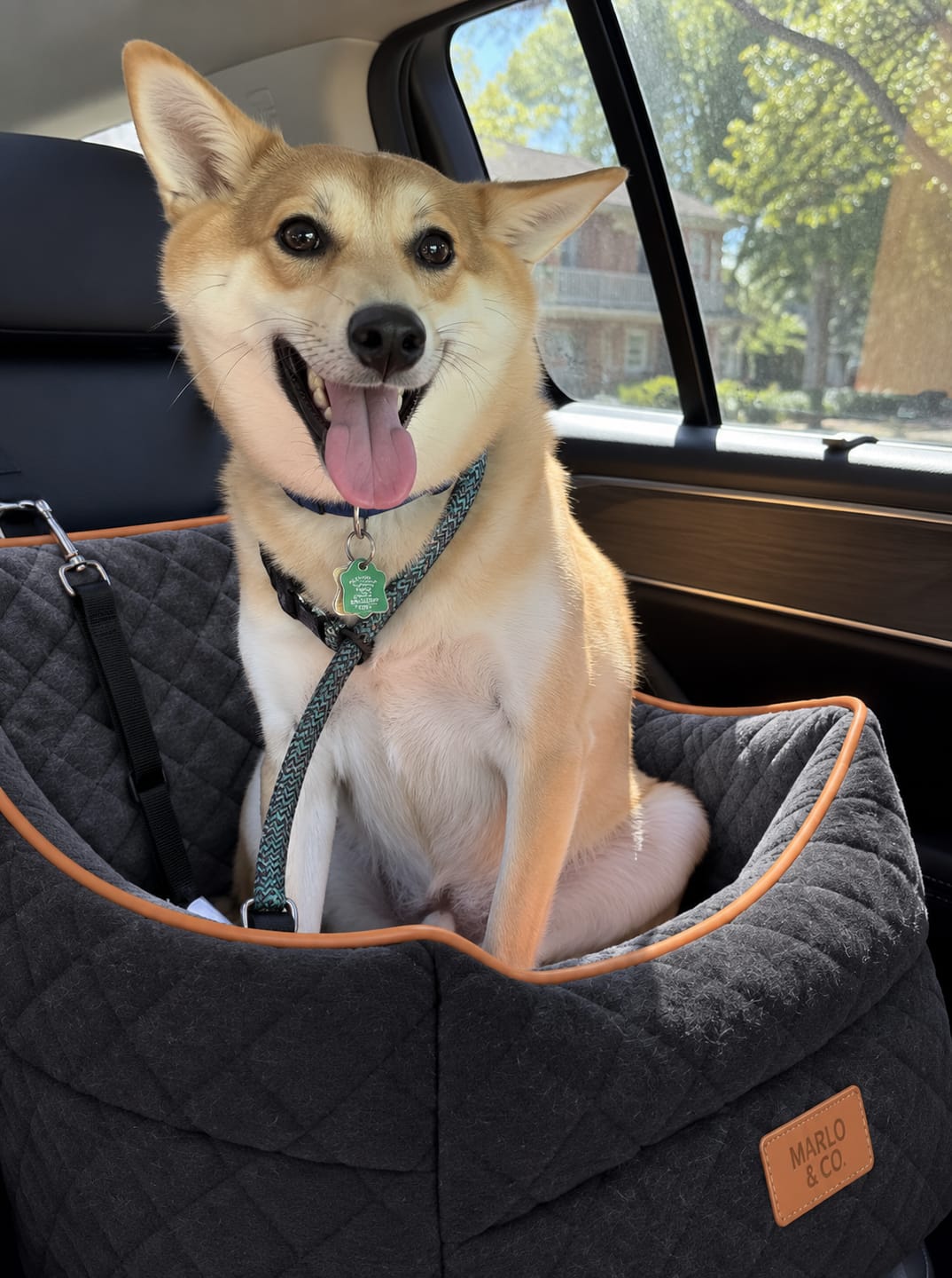 Customer photo review of Marlo&Co™ Plush Front Dog Car Seat