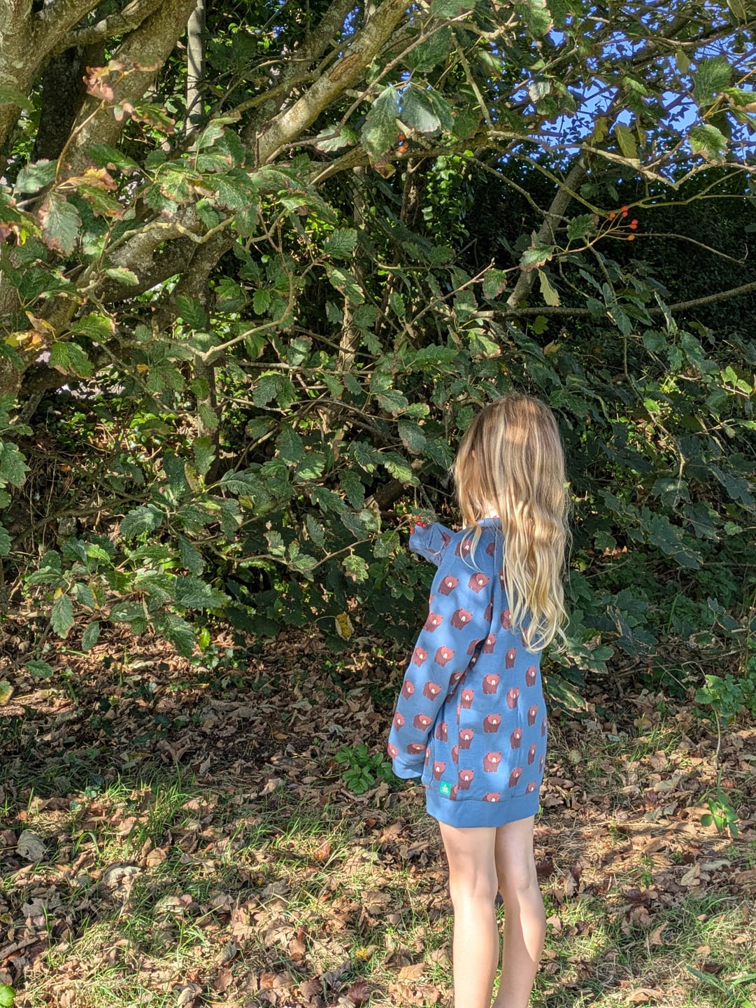 Customer photo review of Blue Bears Reversible Easy Rider Jacket
