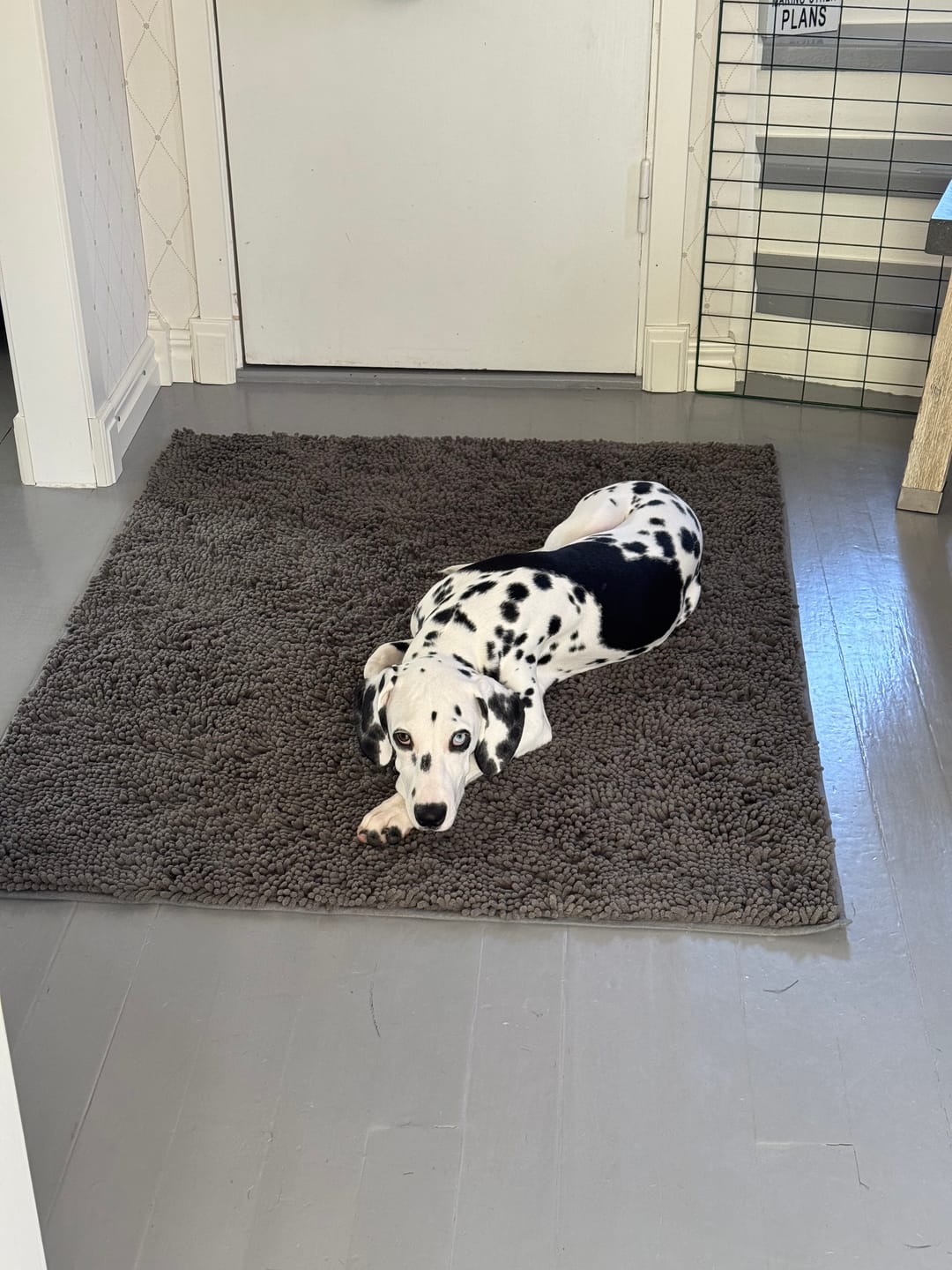 Customer photo review of Tassify – Mattan som håller ditt hem rent