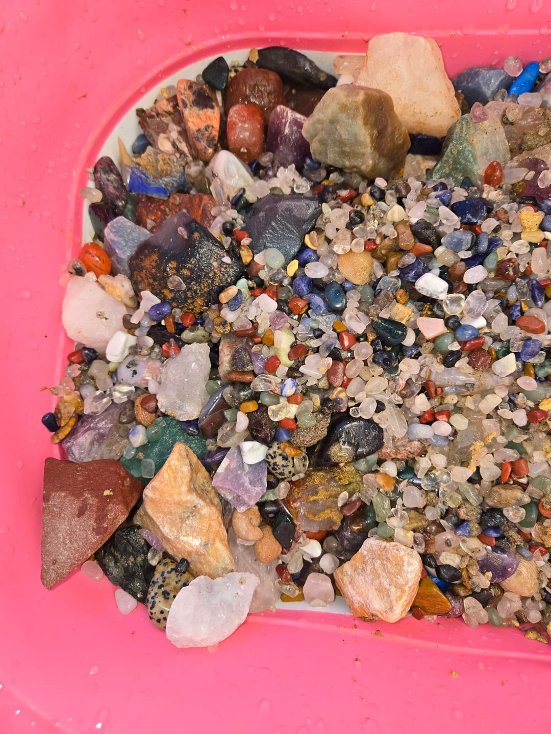 Customer photo review of The Big Dig - 5 Gallon Mining Bucket
